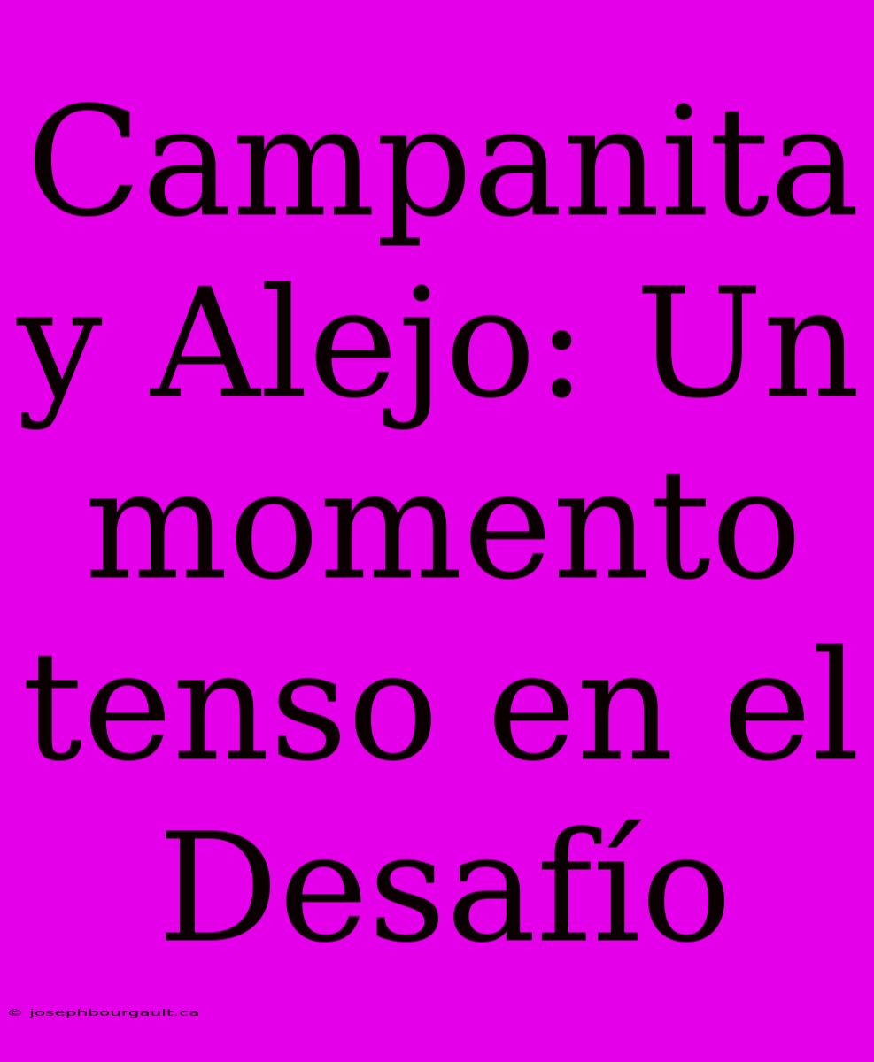 Campanita Y Alejo: Un Momento Tenso En El Desafío