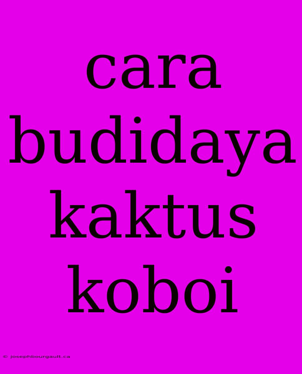 Cara Budidaya Kaktus Koboi