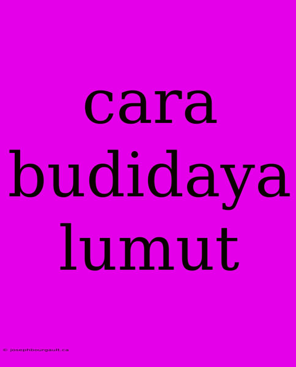 Cara Budidaya Lumut