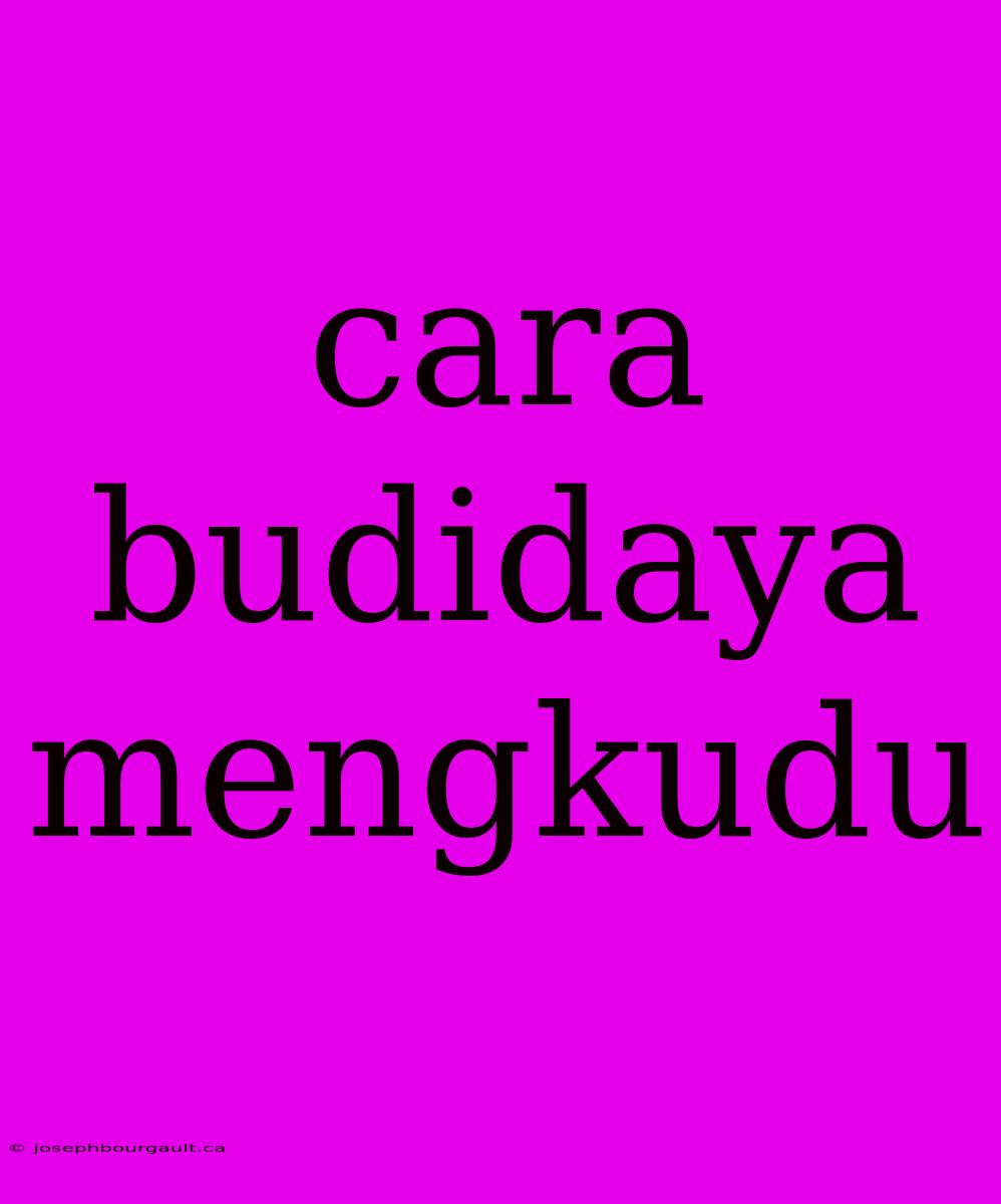 Cara Budidaya Mengkudu