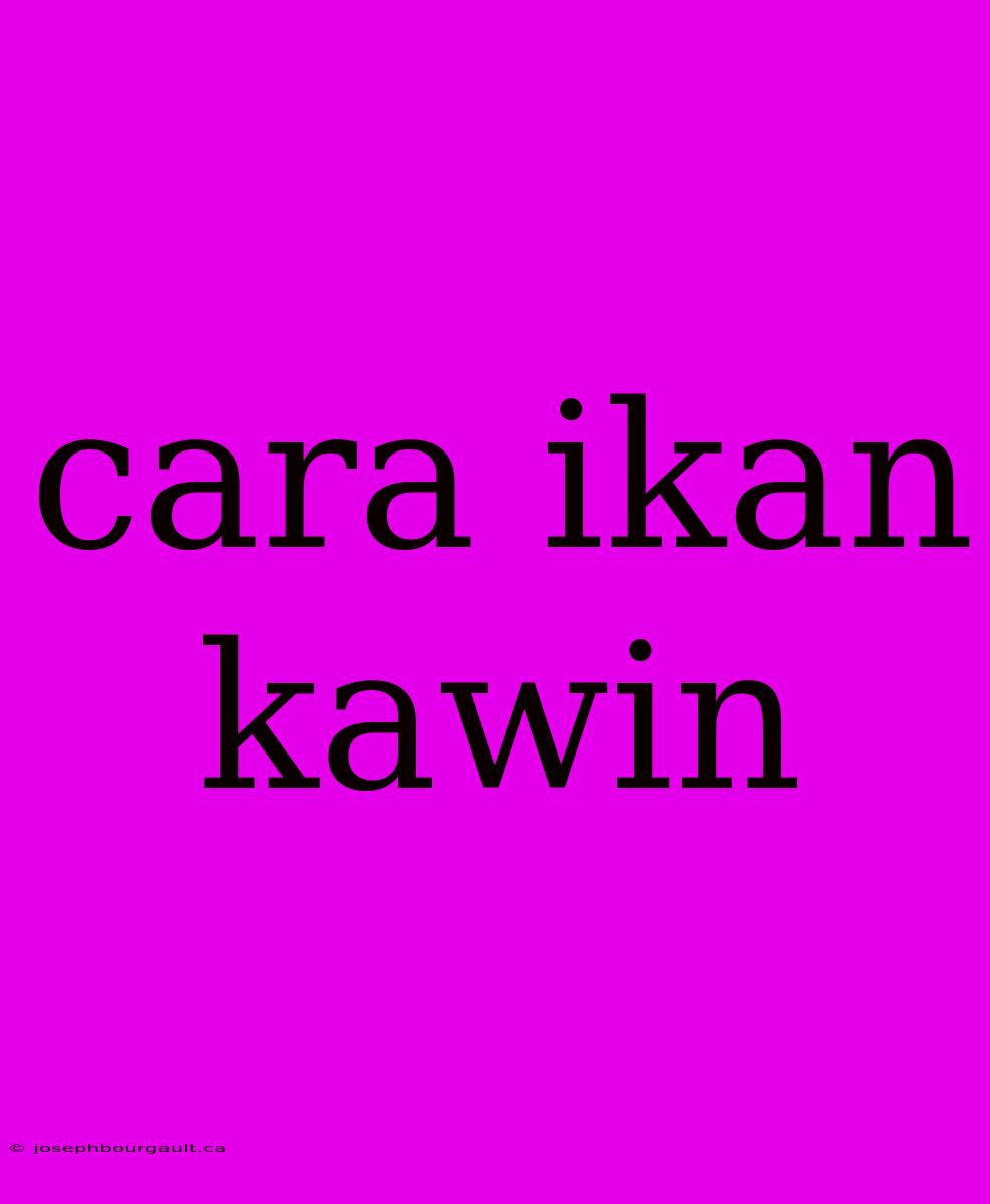 Cara Ikan Kawin