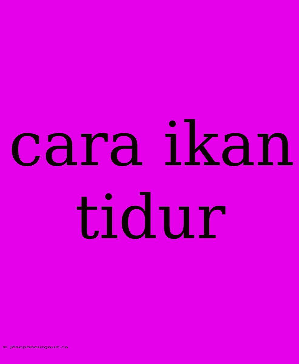 Cara Ikan Tidur