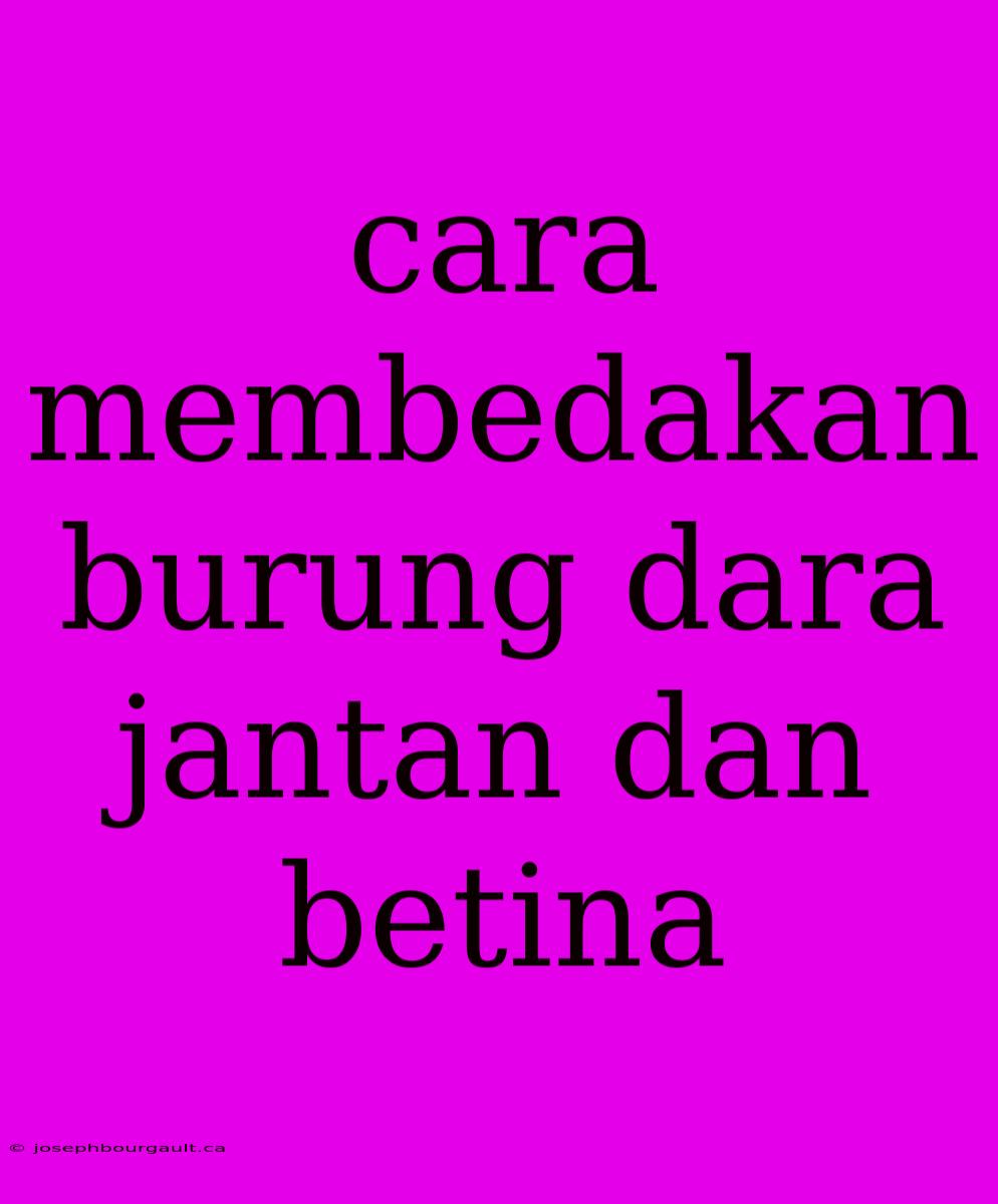 Cara Membedakan Burung Dara Jantan Dan Betina