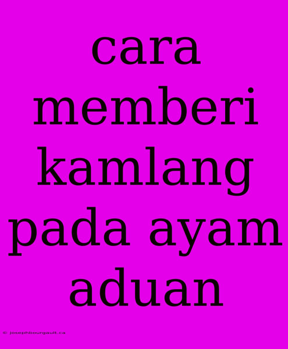 Cara Memberi Kamlang Pada Ayam Aduan