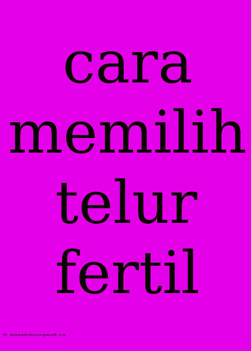 Cara Memilih Telur Fertil