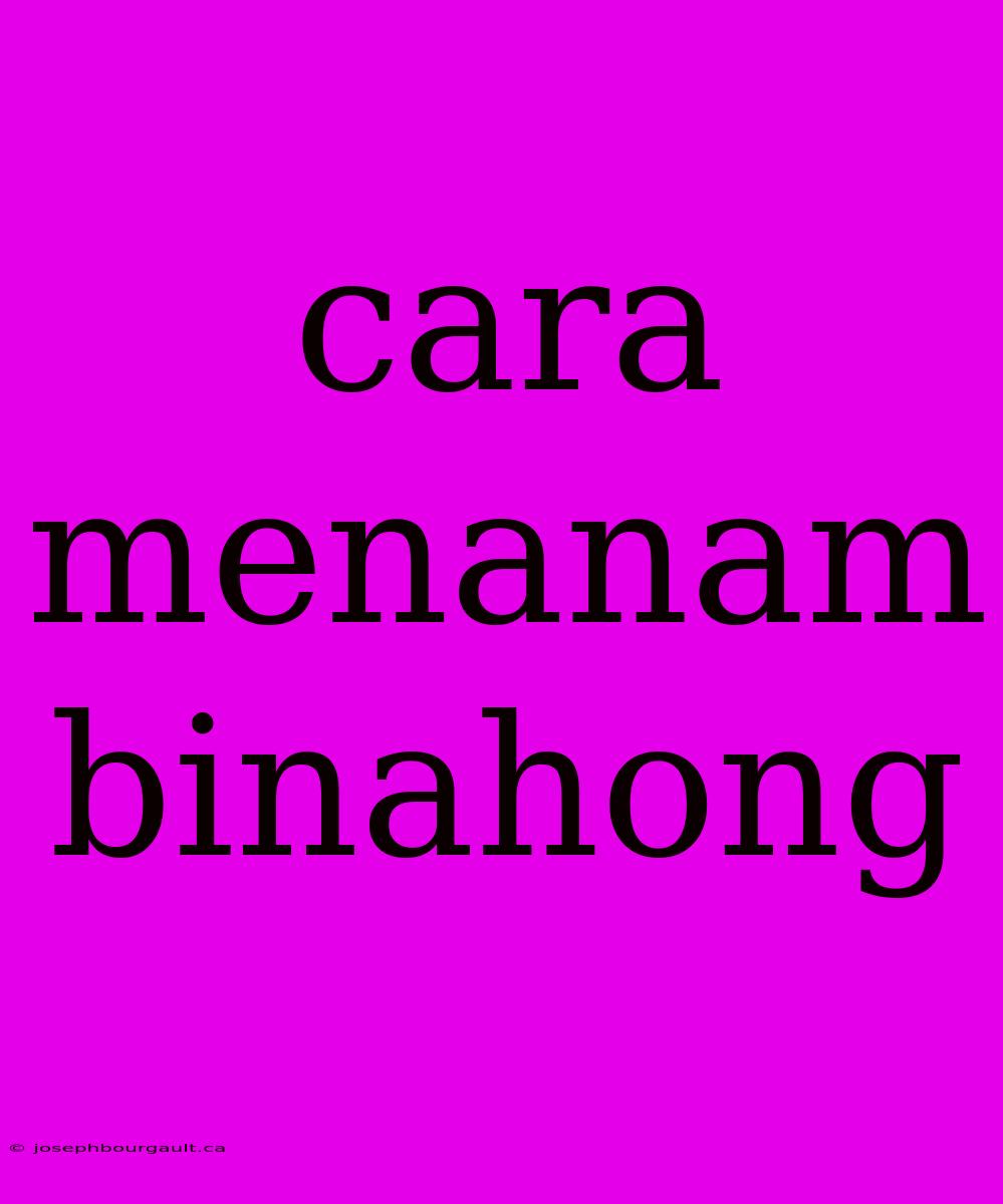 Cara Menanam Binahong