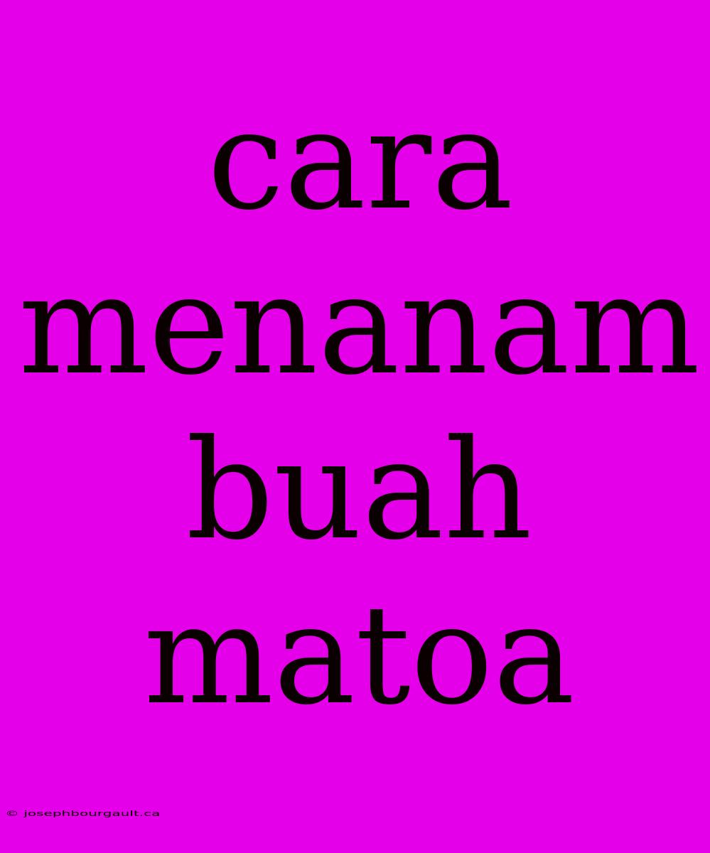 Cara Menanam Buah Matoa