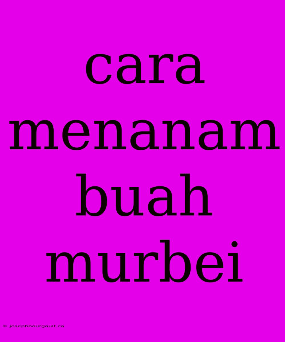 Cara Menanam Buah Murbei