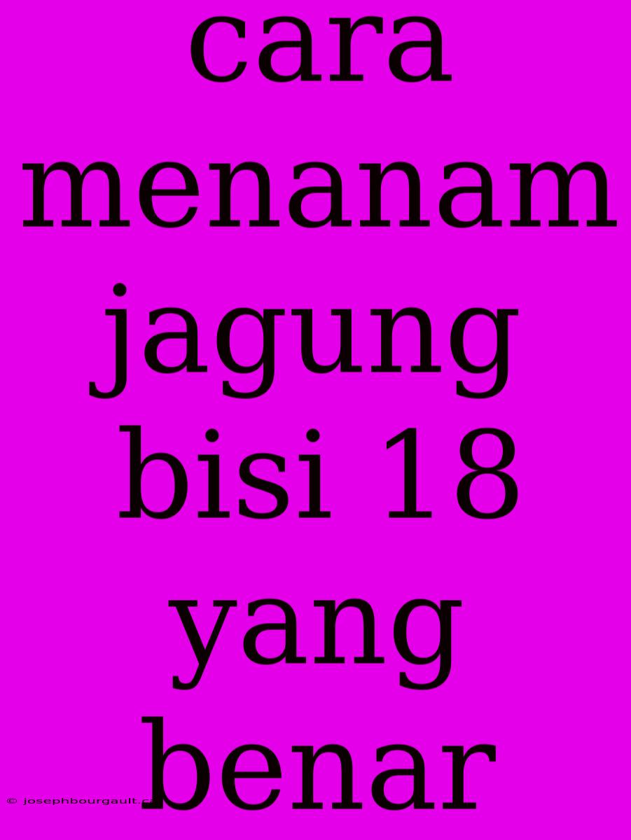 Cara Menanam Jagung Bisi 18 Yang Benar