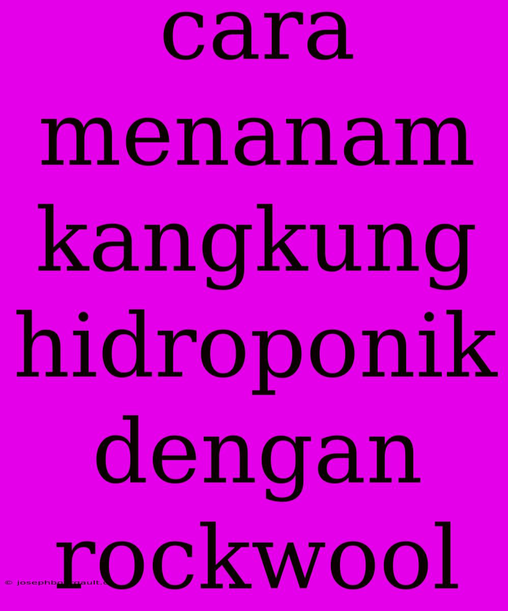 Cara Menanam Kangkung Hidroponik Dengan Rockwool