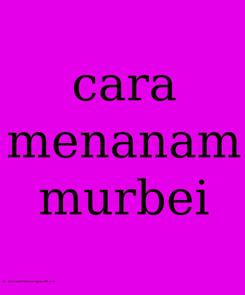 Cara Menanam Murbei