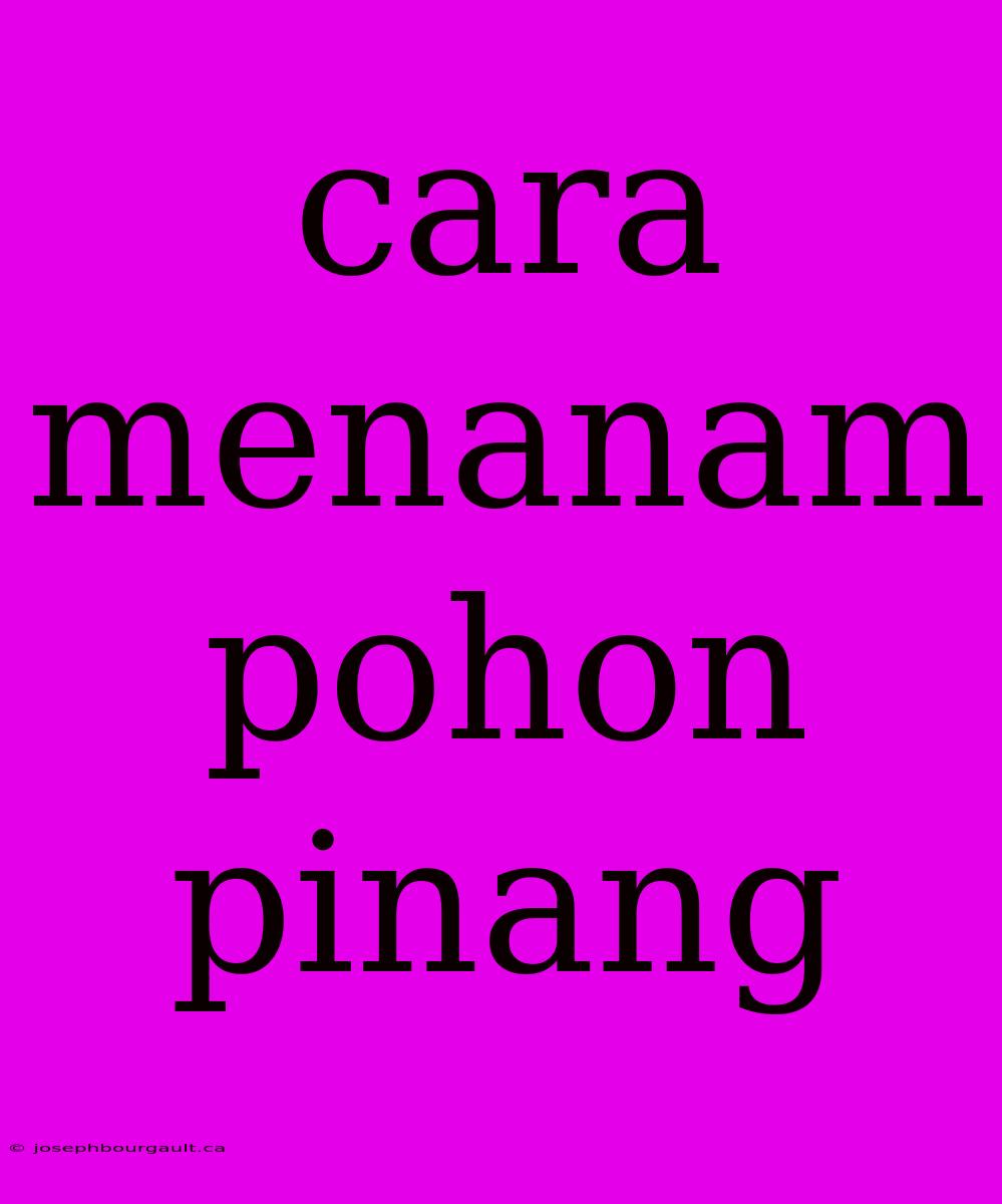 Cara Menanam Pohon Pinang