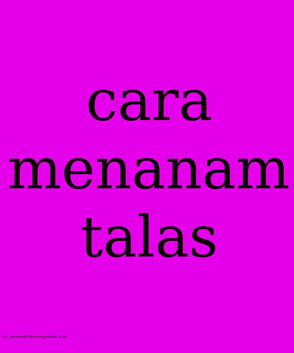 Cara Menanam Talas