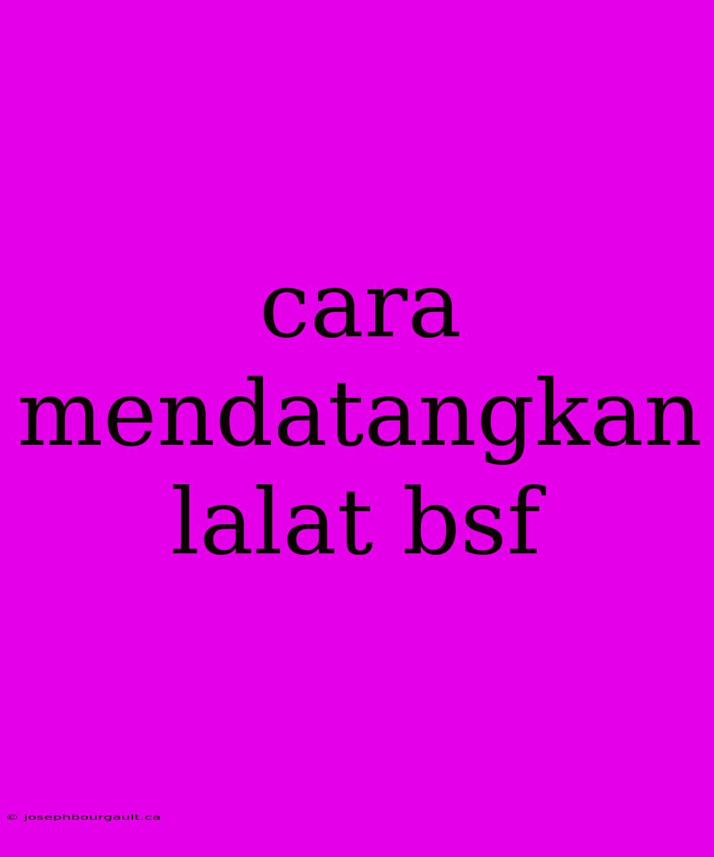 Cara Mendatangkan Lalat Bsf