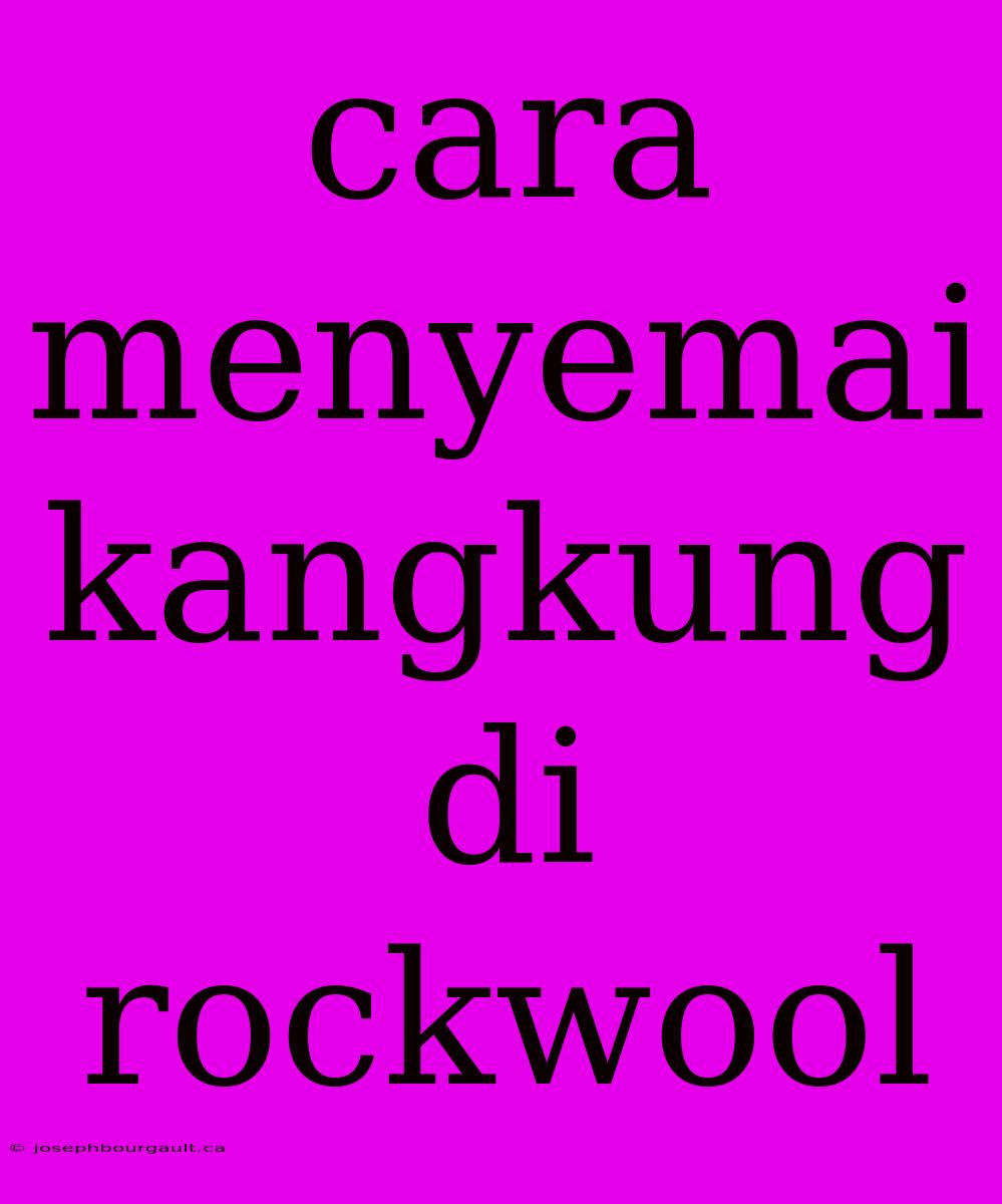 Cara Menyemai Kangkung Di Rockwool