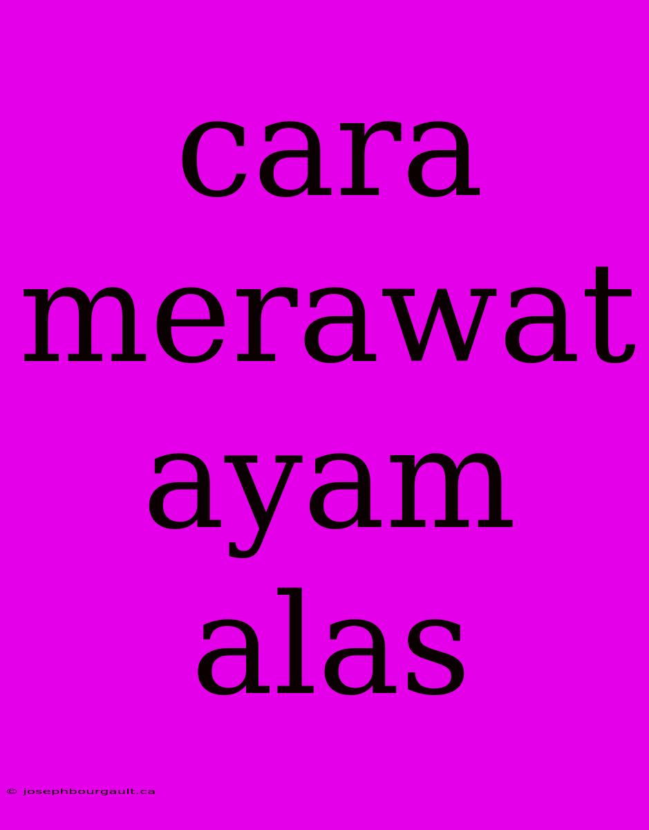 Cara Merawat Ayam Alas