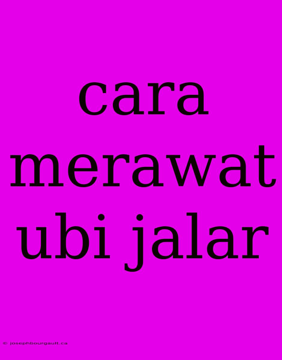 Cara Merawat Ubi Jalar