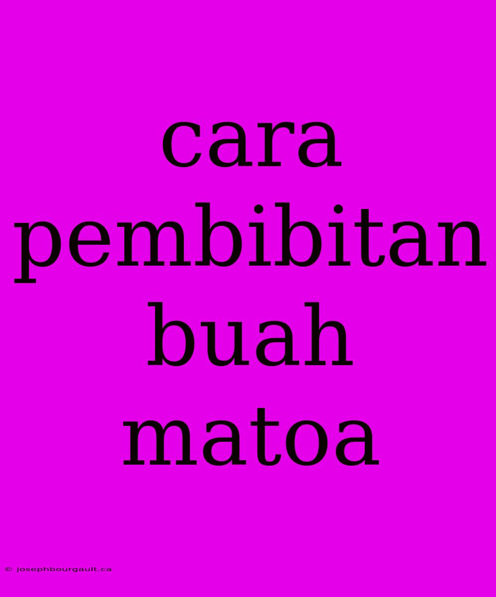 Cara Pembibitan Buah Matoa