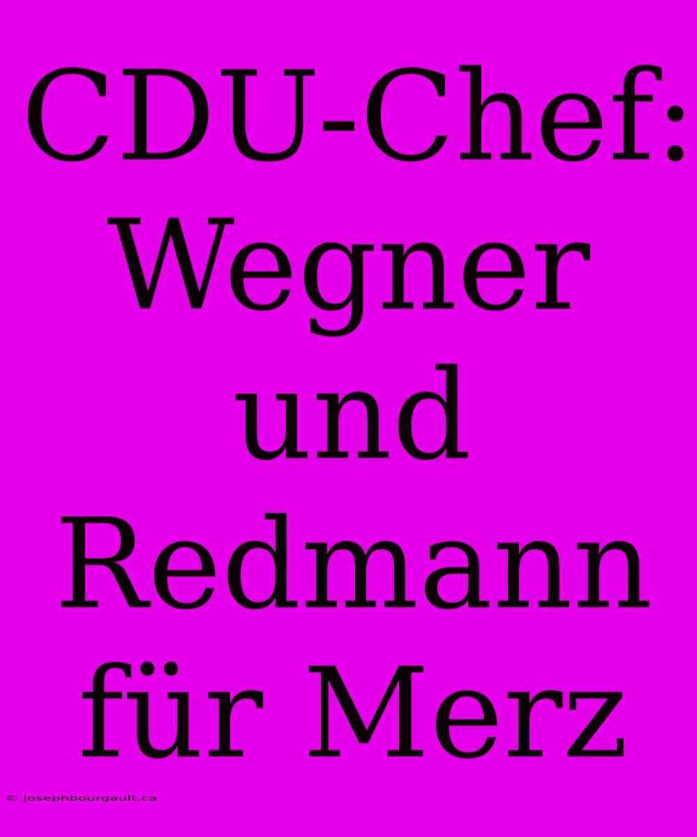 CDU-Chef: Wegner Und Redmann Für Merz