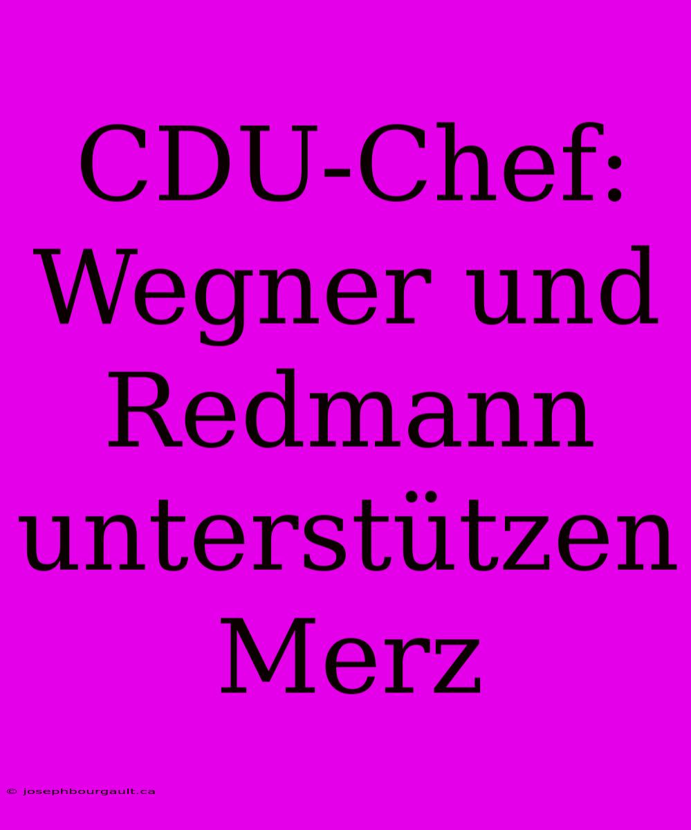 CDU-Chef: Wegner Und Redmann Unterstützen Merz