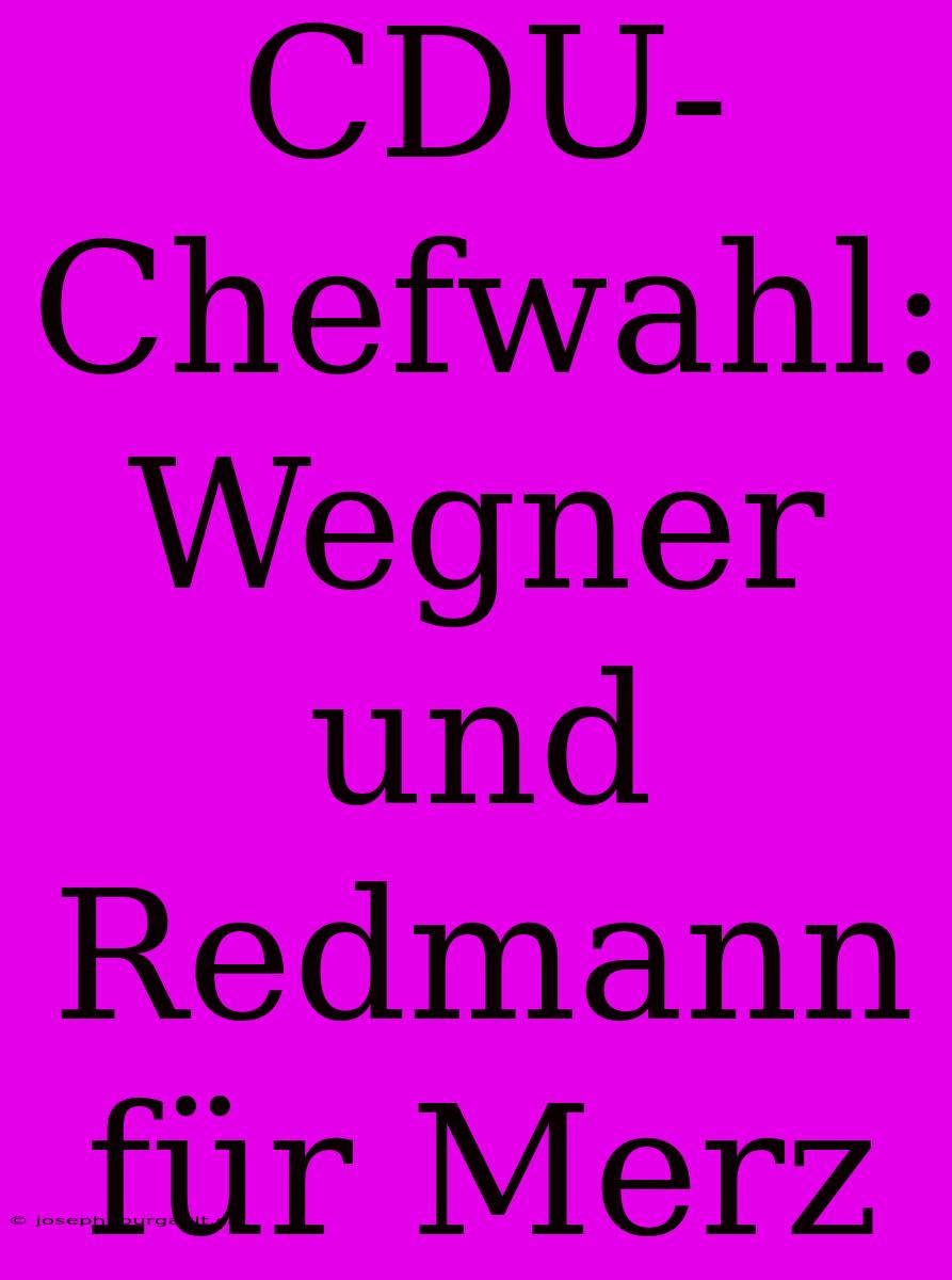 CDU-Chefwahl: Wegner Und Redmann Für Merz