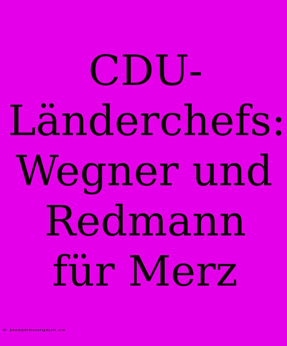 CDU-Länderchefs: Wegner Und Redmann Für Merz