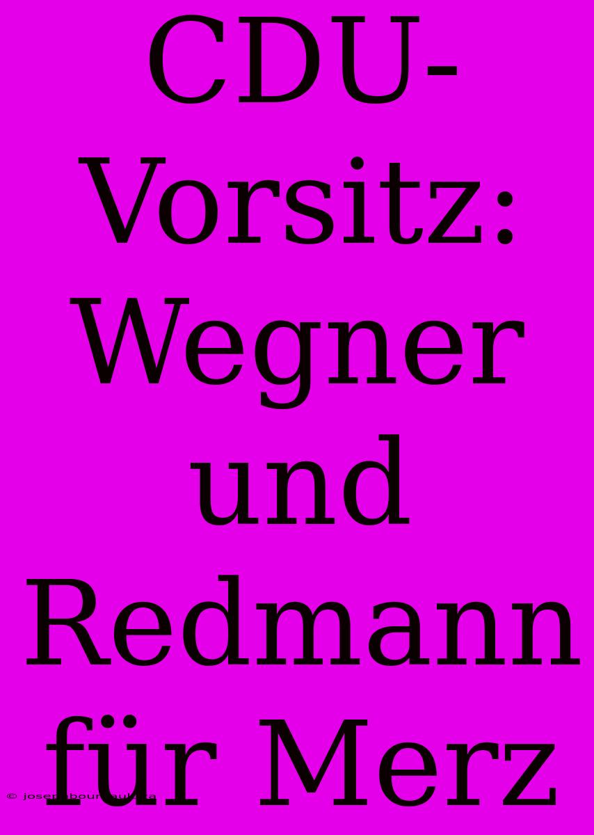 CDU-Vorsitz: Wegner Und Redmann Für Merz