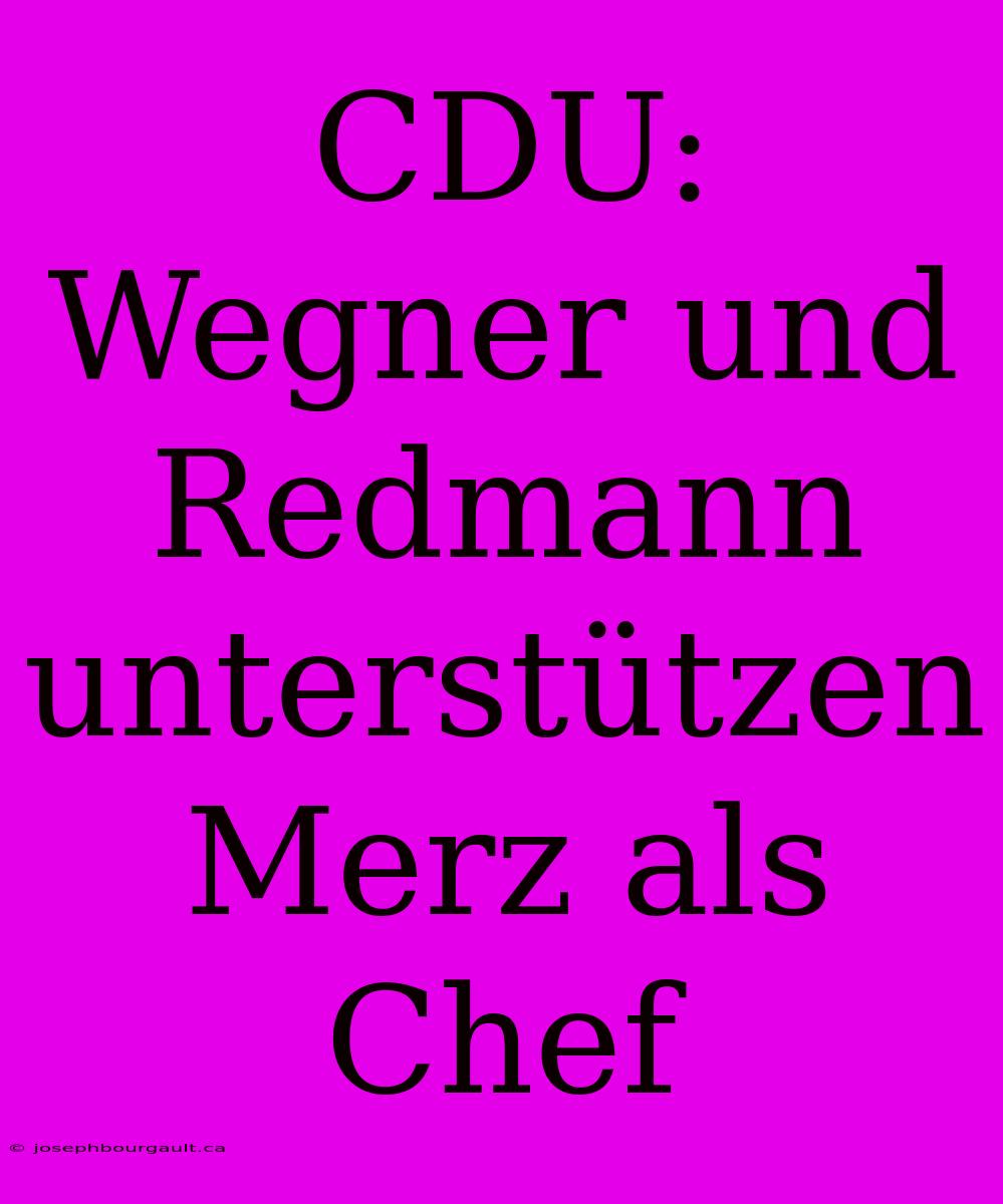 CDU: Wegner Und Redmann Unterstützen Merz Als Chef