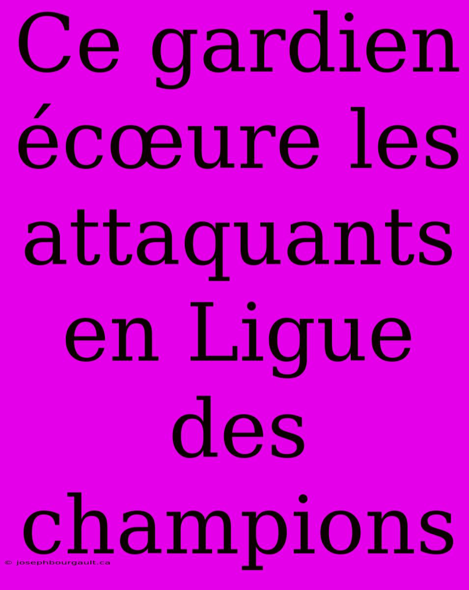 Ce Gardien Écœure Les Attaquants En Ligue Des Champions