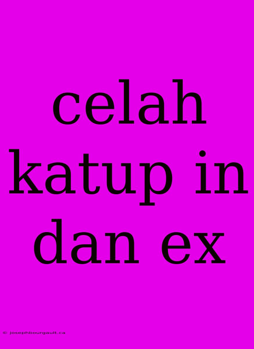 Celah Katup In Dan Ex