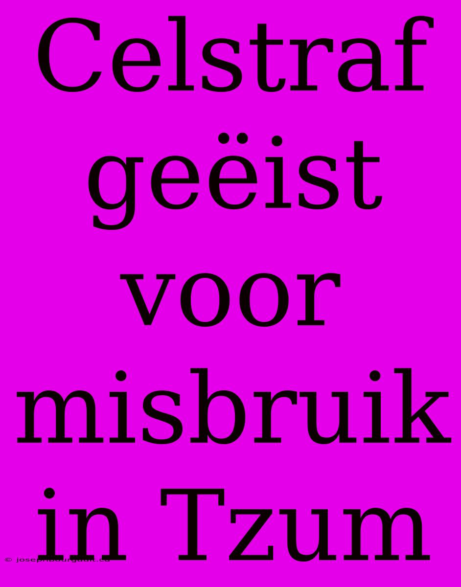 Celstraf Geëist Voor Misbruik In Tzum