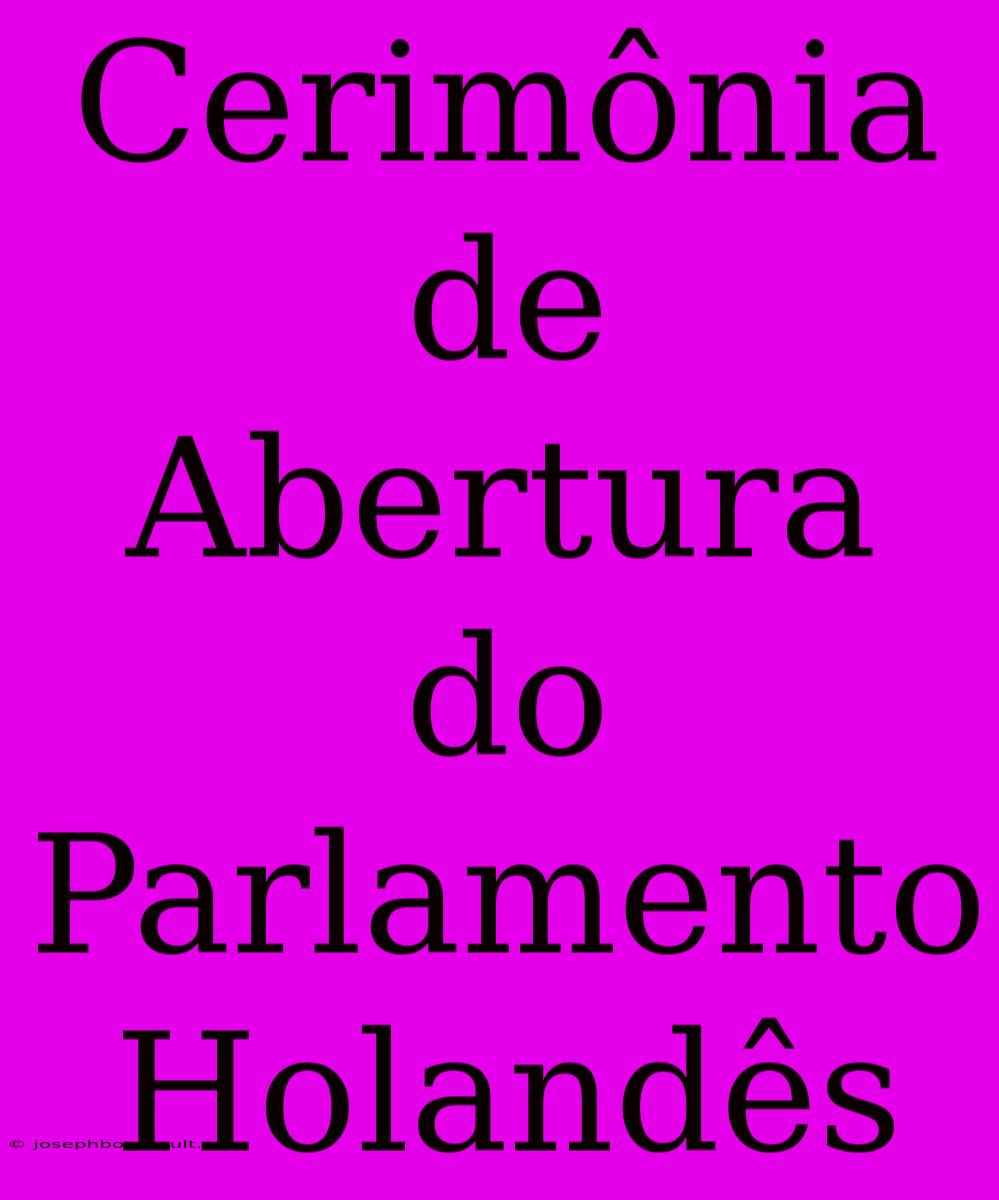 Cerimônia De Abertura Do Parlamento Holandês