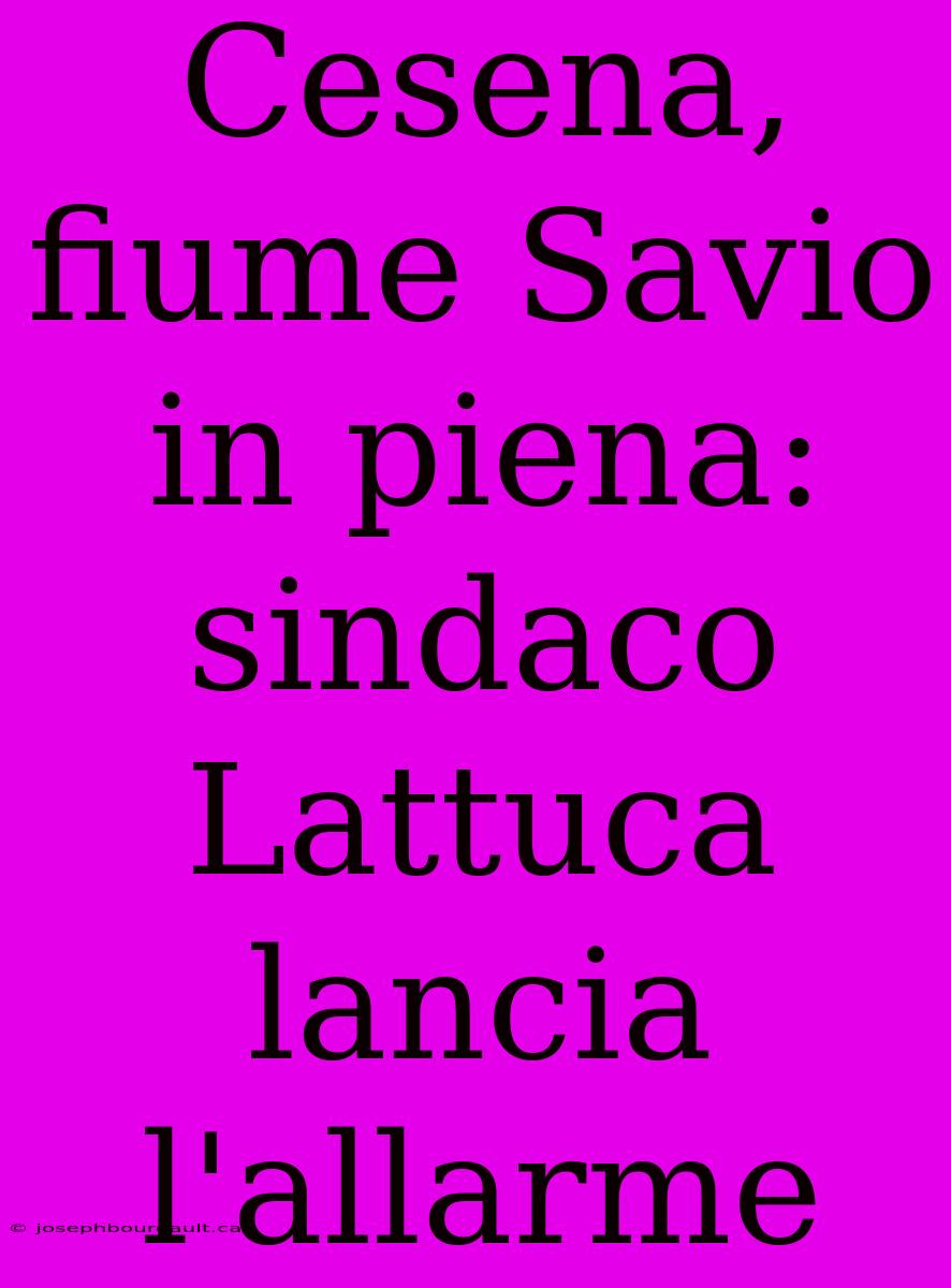 Cesena, Fiume Savio In Piena: Sindaco Lattuca Lancia L'allarme