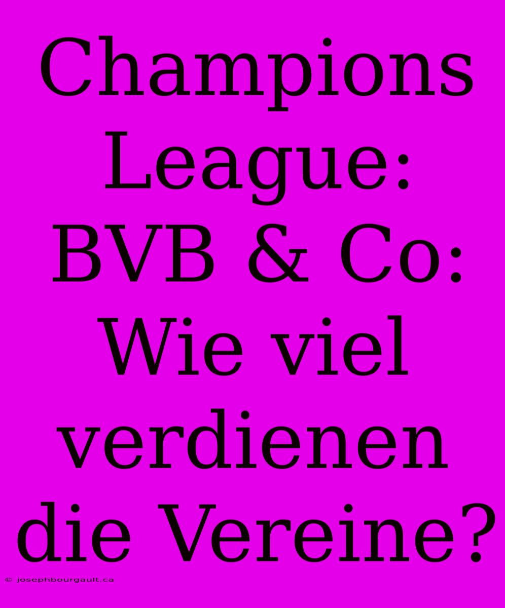 Champions League: BVB & Co: Wie Viel Verdienen Die Vereine?