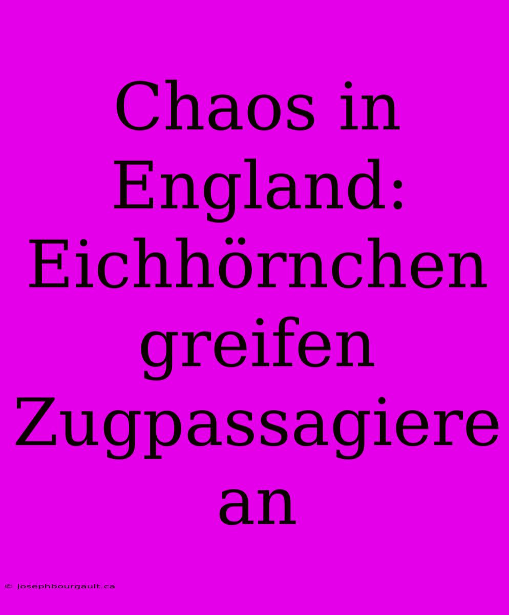 Chaos In England: Eichhörnchen Greifen Zugpassagiere An