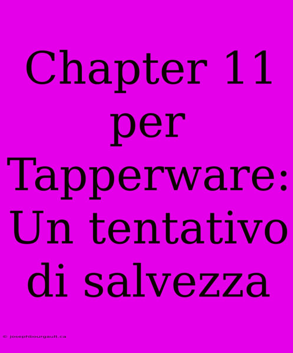 Chapter 11 Per Tapperware:  Un Tentativo Di Salvezza