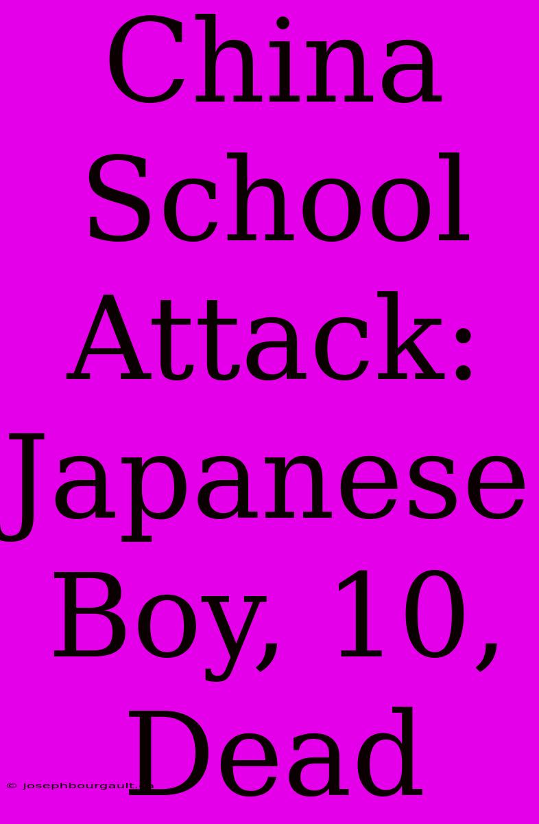 China School Attack: Japanese Boy, 10, Dead