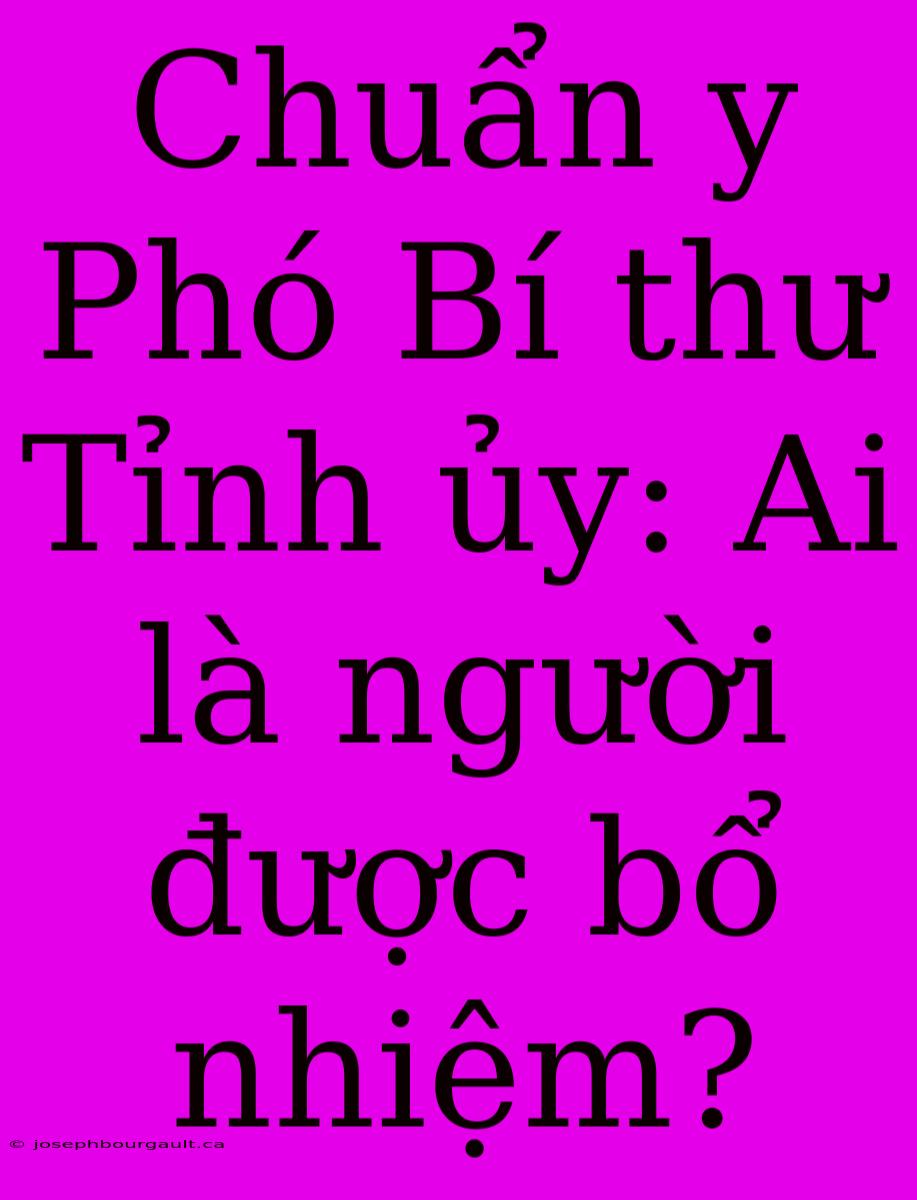 Chuẩn Y Phó Bí Thư Tỉnh Ủy: Ai Là Người Được Bổ Nhiệm?