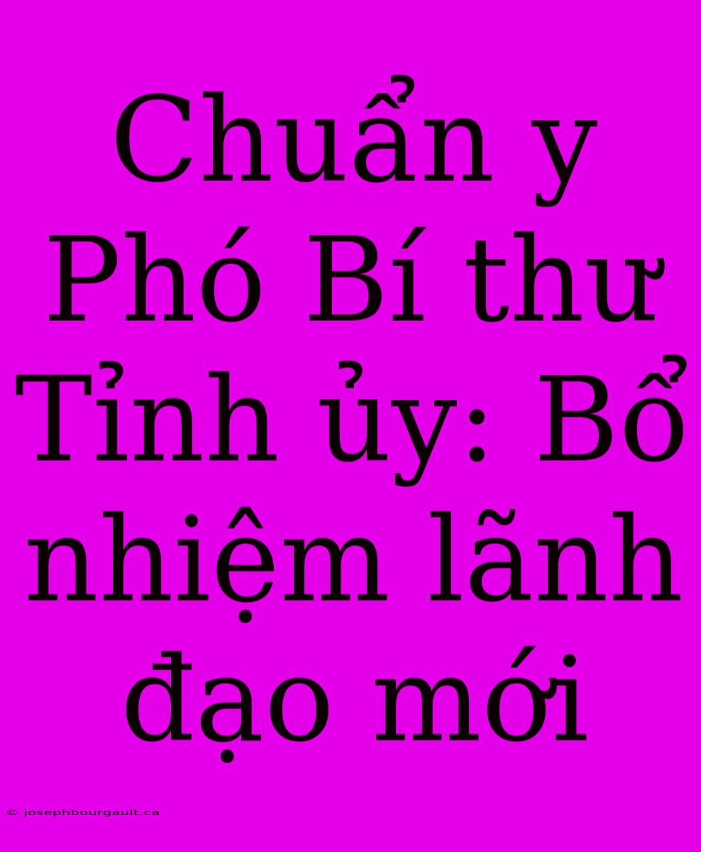 Chuẩn Y Phó Bí Thư Tỉnh Ủy: Bổ Nhiệm Lãnh Đạo Mới