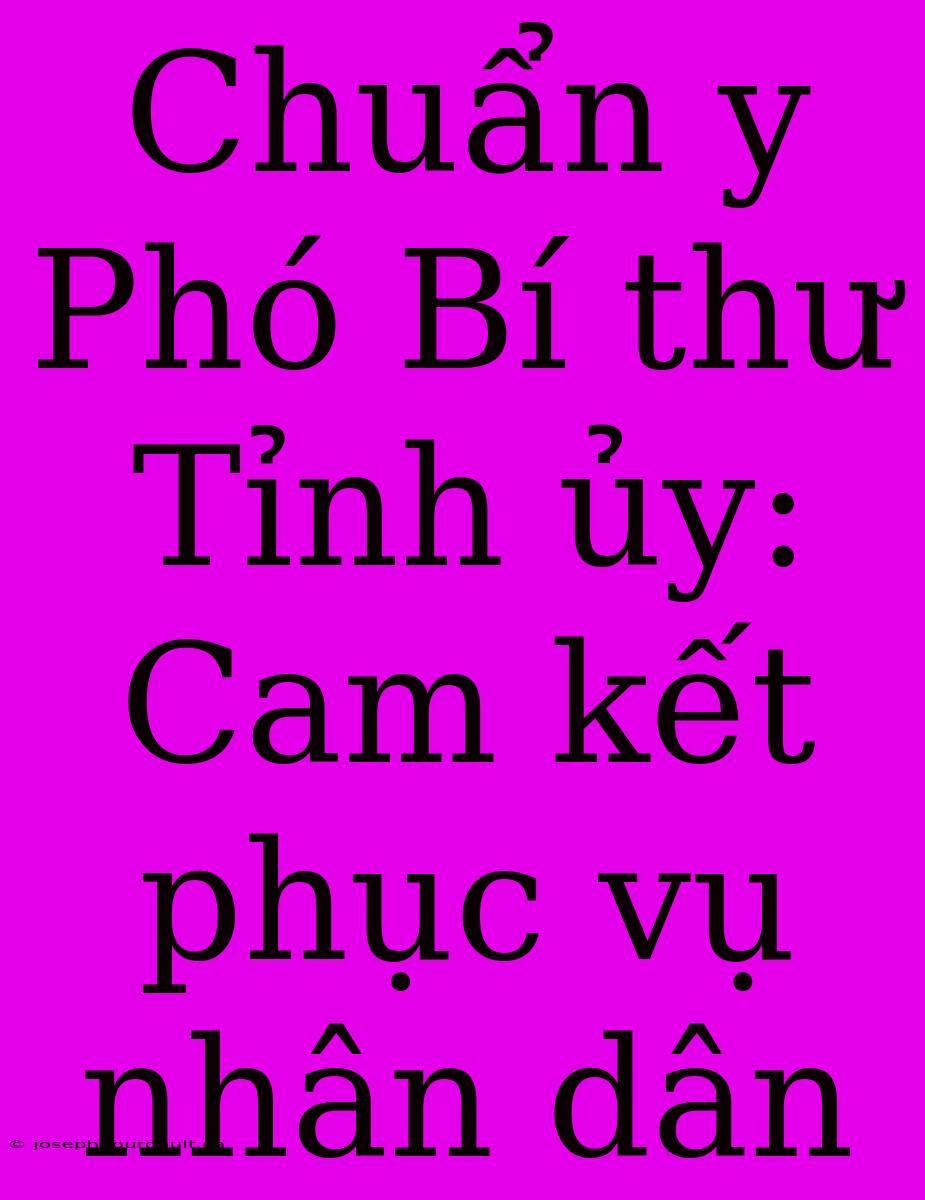 Chuẩn Y Phó Bí Thư Tỉnh Ủy: Cam Kết Phục Vụ Nhân Dân