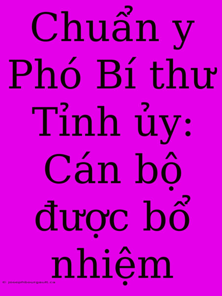 Chuẩn Y Phó Bí Thư Tỉnh Ủy: Cán Bộ Được Bổ Nhiệm