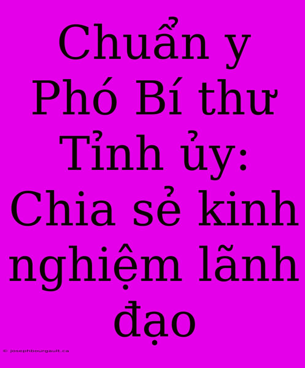 Chuẩn Y Phó Bí Thư Tỉnh Ủy: Chia Sẻ Kinh Nghiệm Lãnh Đạo