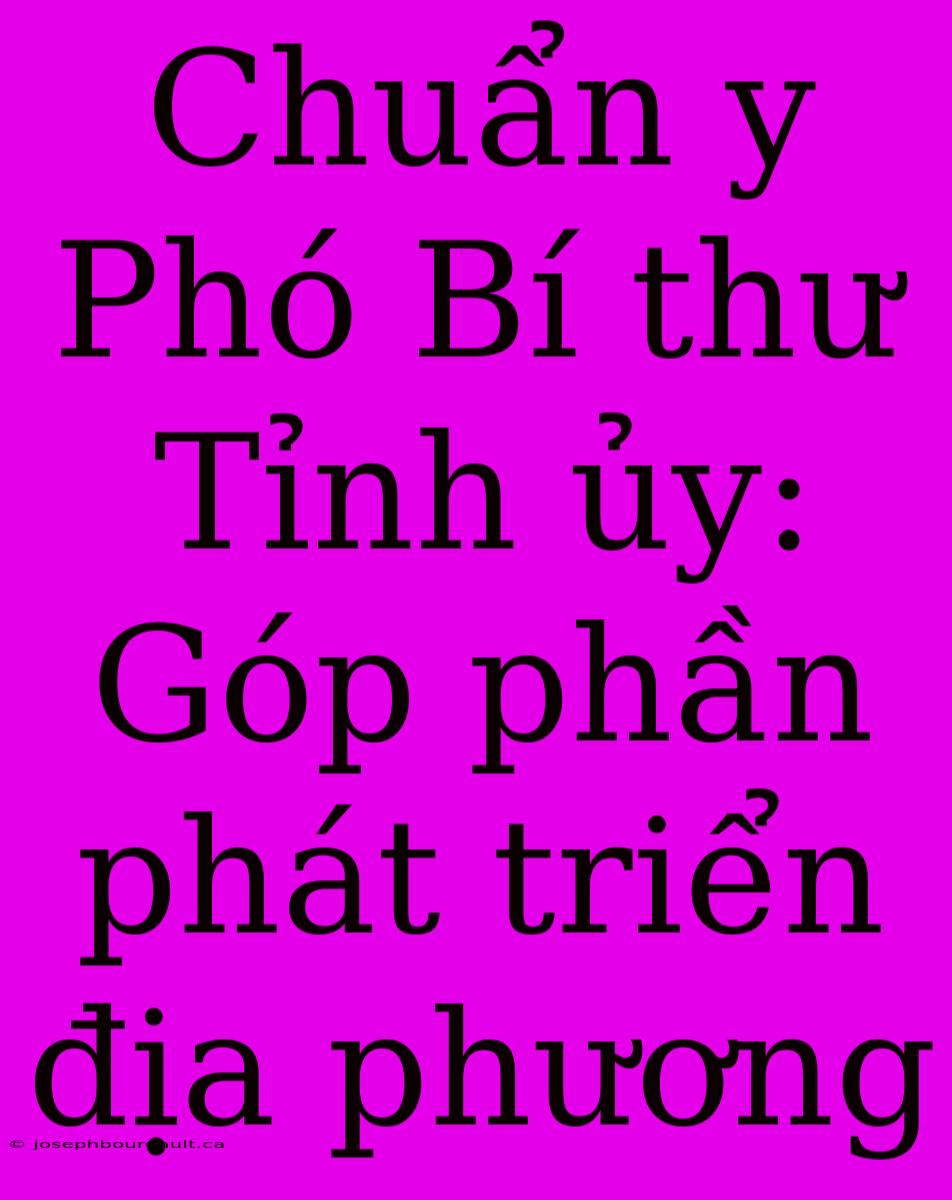 Chuẩn Y Phó Bí Thư Tỉnh Ủy: Góp Phần Phát Triển Địa Phương