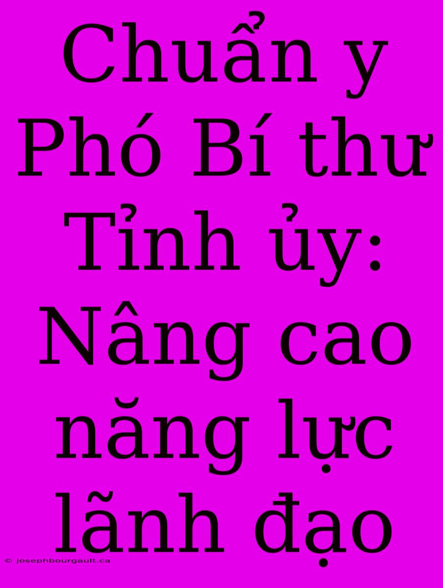 Chuẩn Y Phó Bí Thư Tỉnh Ủy: Nâng Cao Năng Lực Lãnh Đạo