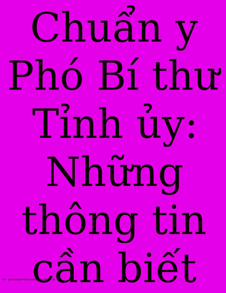 Chuẩn Y Phó Bí Thư Tỉnh Ủy: Những Thông Tin Cần Biết