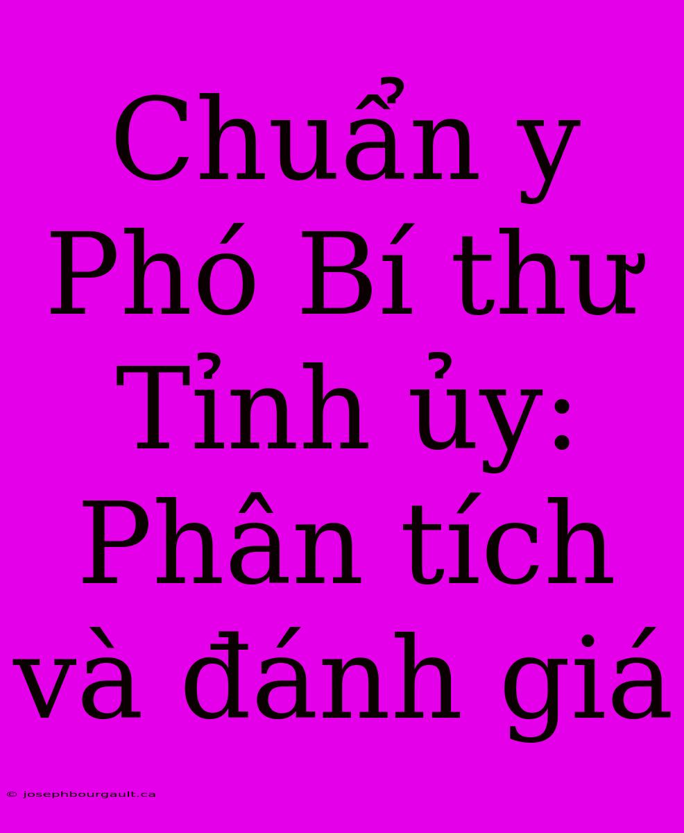 Chuẩn Y Phó Bí Thư Tỉnh Ủy: Phân Tích Và Đánh Giá