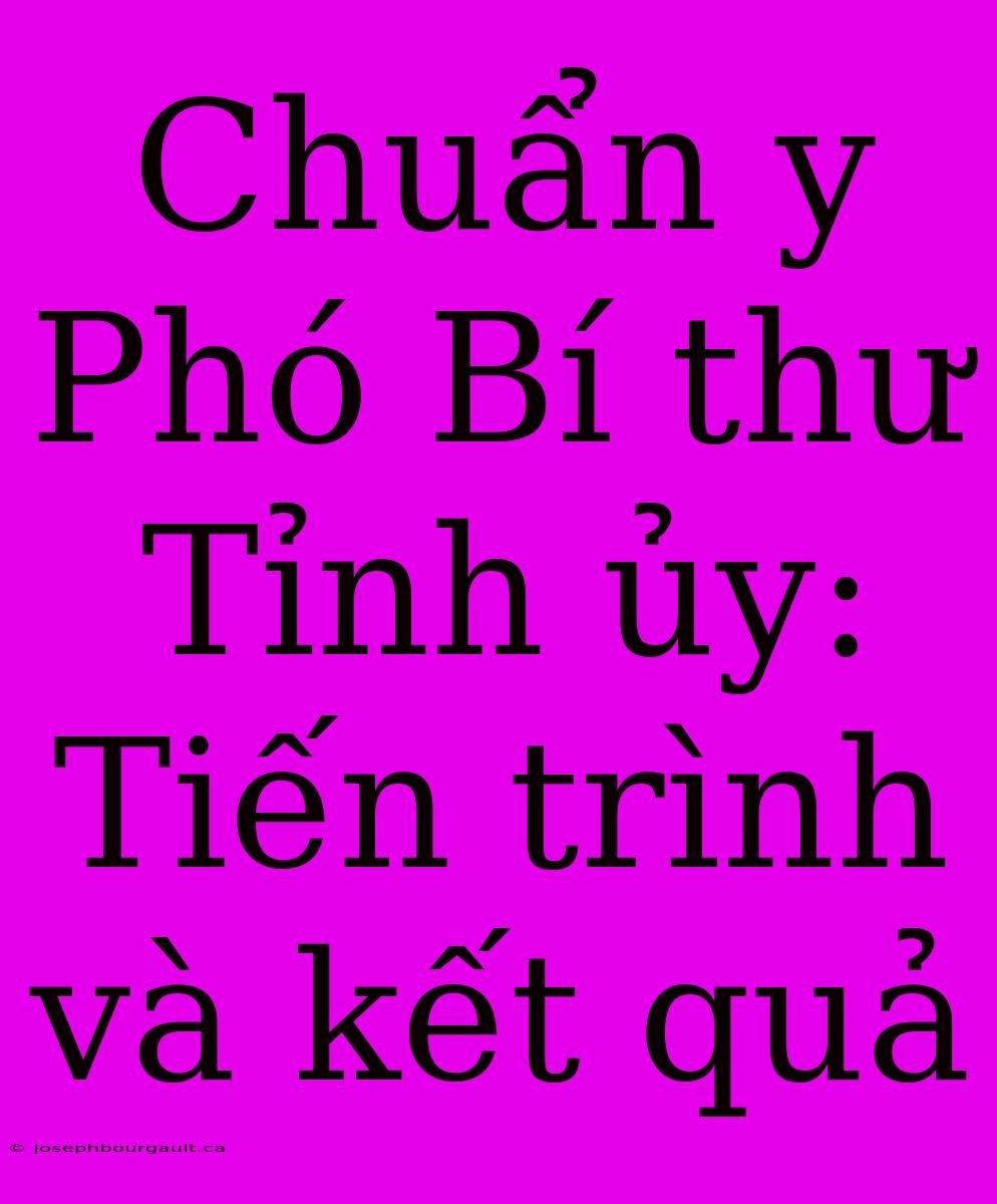 Chuẩn Y Phó Bí Thư Tỉnh Ủy: Tiến Trình Và Kết Quả