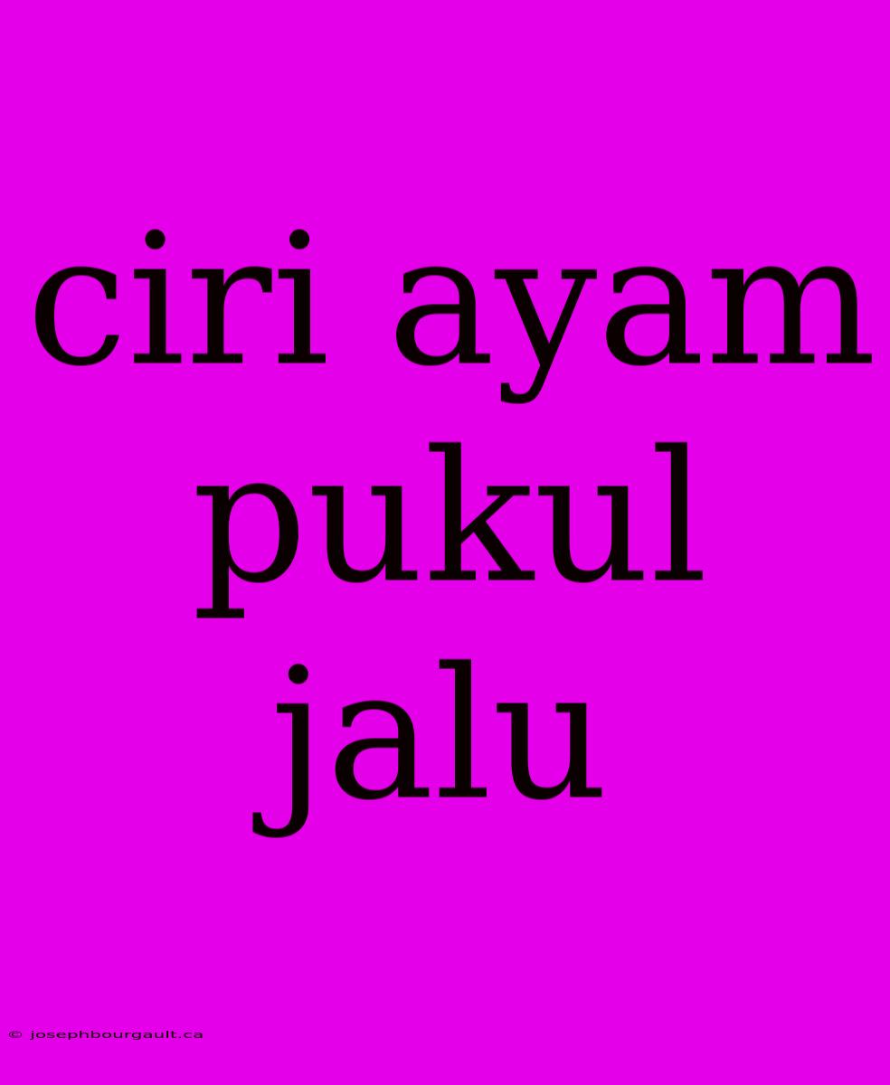 Ciri Ayam Pukul Jalu