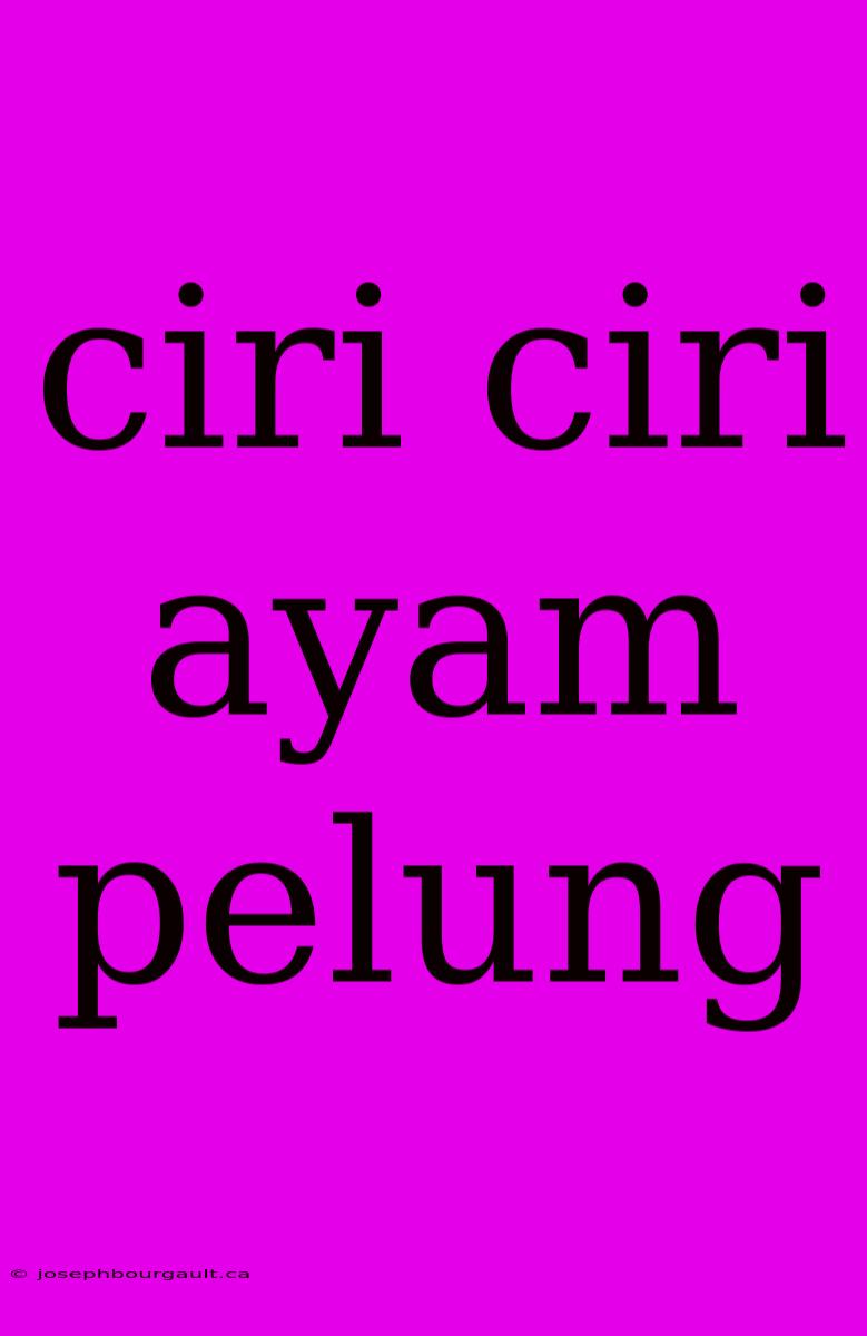 Ciri Ciri Ayam Pelung