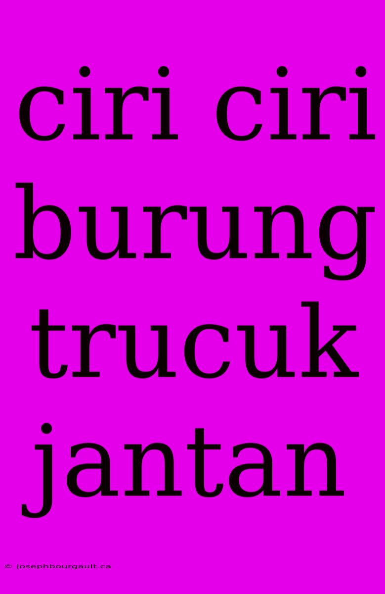 Ciri Ciri Burung Trucuk Jantan